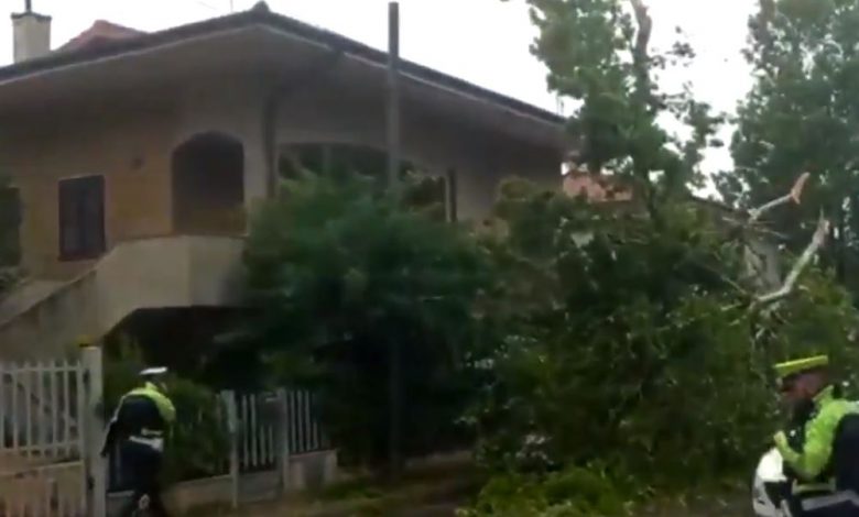 ancona nubifragio