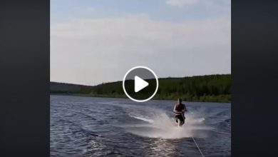 Photo of Caldo record in Siberia: si può fare sci nautico [VIDEO]
