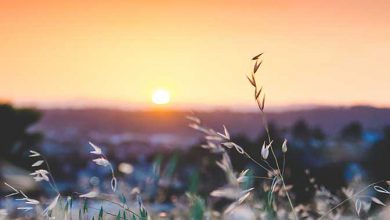 Photo of Caldo, NOTTE TROPICALE in gran parte d’Italia: i dati