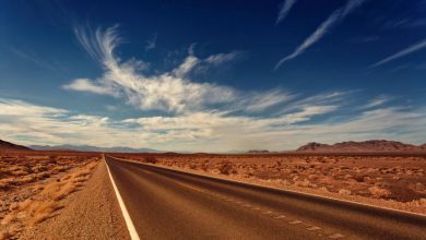 Photo of CALDO, rovente anche il NORD AMERICA: 46 gradi negli USA, 37 in Canada