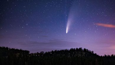 Photo of COMETA NEOWISE vicina alla Terra: avvistamento a rischio per le condizioni meteo?