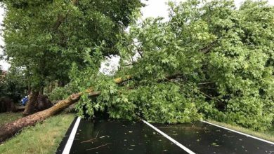 Photo of GRANDINE come palle da tennis, decine di migliaia di FULMINI: il Nord colpito dal MALTEMPO