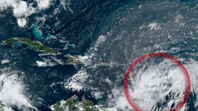 Photo of ISAIAS, la nuova TEMPESTA che minaccia CARAIBI e STATI UNITI
