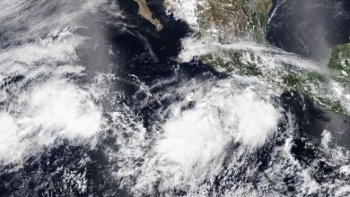 Photo of Tempesta CRISTINA verso le Hawaii: potrebbe diventare un URAGANO