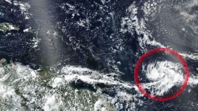 Photo of GONZALO, la prossima TEMPESTA è in viaggio verso i Caraibi