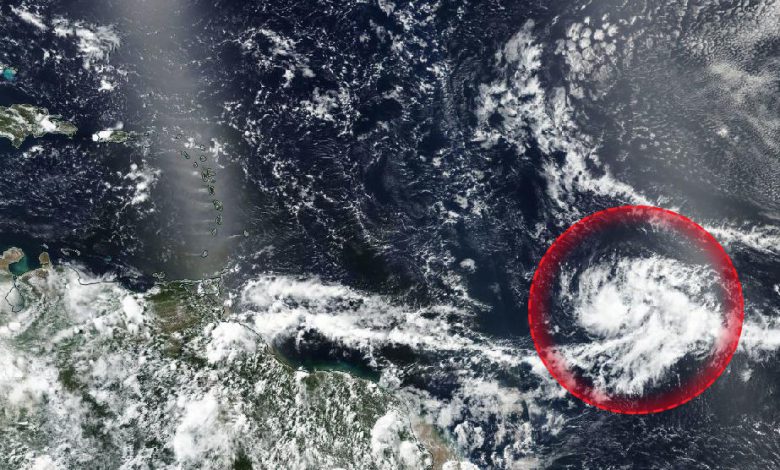 tempesta gonzalo