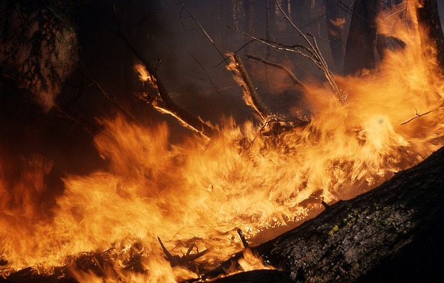 incendi incendio