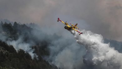 Photo of Gli INCENDI devastano l’Italia: in fiamme 1,5 ettari di bosco a La Spezia