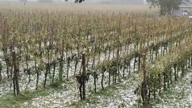 Photo of In VENETO milioni di euro di DANNI per il MALTEMPO