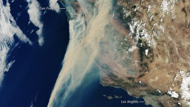 Photo of CALIFORNIA divorata dagli INCENDI: la situazione [VIDEO]