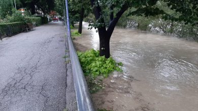 Photo of MALTEMPO: preoccupano i fiumi ADIGE e ISARCO [VIDEO]