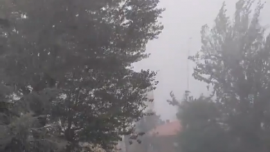 Photo of VIDEO – MALTEMPO, forti TEMPORALI a Ferrara e Modena: danni e disagi