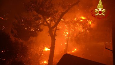 Photo of Vasti INCENDI in SICILIA: distrutta la Riserva dello Zingaro