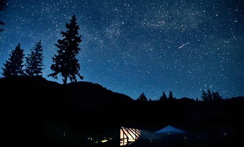 stelle cadenti