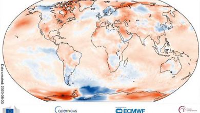 Photo of LUGLIO 2020 sul podio tra i più CALDI mai registrati: i dati