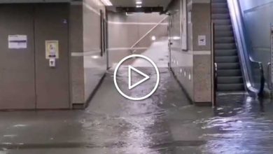 Photo of Maltempo, DANNI dal Piemonte al Friuli: TORINO allagata [VIDEO]