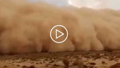 Photo of TEMPESTA DI SABBIA in India: un muro di polvere circonda la città [VIDEO]