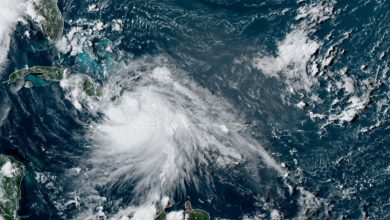 Photo of Allerta per due TEMPESTE: Marco verso gli USA, Laura sui CARAIBI