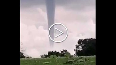 Photo of TORNADO in Germania, momenti di PANICO in Sassonia [VIDEO]