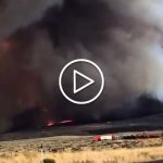 tornado di fuoco in california