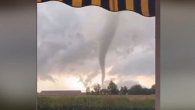 Photo of TROMBA d’ARIA in provincia di VERONA [VIDEO]