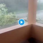 uragano isaias