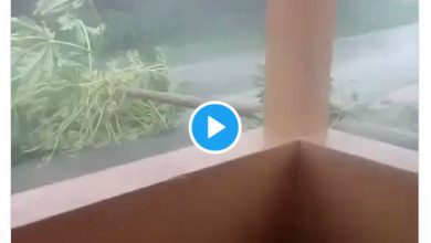 Photo of URAGANO ISAIAS: violento l’impatto sui CARAIBI [VIDEO]