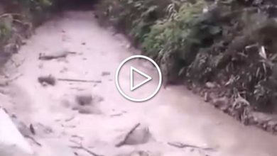 Photo of VULCANO in eruzione in Indonesia: un fiume di LAVA e CENERE [VIDEO]