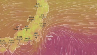 Photo of Tempesta DOLPHIN sul Giappone: diramata l’ALLERTA rossa