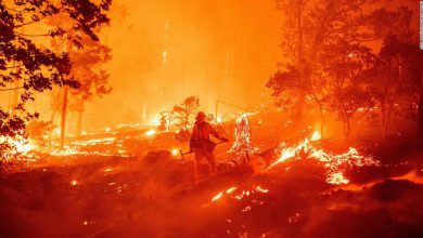 Photo of Incendi e caldo anomalo: non c’è pace per la CALIFORNIA
