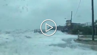 Photo of USA, tempesta BETA: 11 milioni di persone in zone a rischio allagamenti [VIDEO]