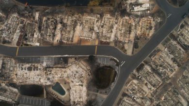 Photo of INCENDI in OREGON: sette vittime. Tra loro un bambino