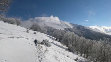 Photo of Cambiamenti climatici e sport invernali: OMM e FIS uniscono le forze