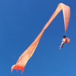 bimba aquilone video