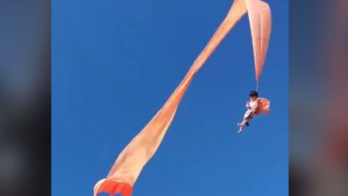 Photo of Colpo di VENTO, BIMBA impigliata in un AQUILONE prende il volo – VIDEO