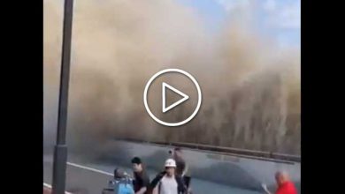 Photo of Cina, il DRAGO D’ARGENTO colpisce ancora: sono tornate le ONDE SPAVENTOSE del fiume Qiantang [VIDEO]