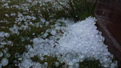 Photo of La GRANDINE flagella VENETO, LIGURIA e PAVESE [VIDEO]