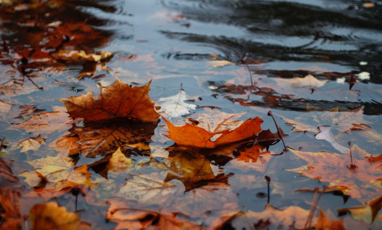 meteo autunno