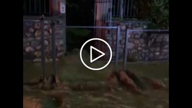 Photo of Maltempo, a Varese SITUAZIONE CRITICA: strade come fiumi a LUVINATE