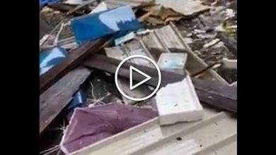 Photo of Maltempo, su NAPOLI potente NUBIFRAGIO e RAFFICHE SPAVENTOSE: segnalati feriti [VIDEO]