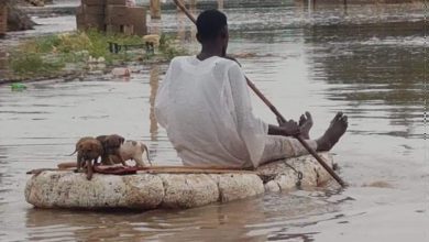 Photo of Sull’Africa MALTEMPO ESTREMO: danni enormi e case distrutte, centinaia le vittime [VIDEO]