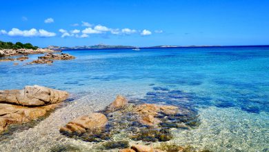 Photo of AGOSTO 2020 tra i più caldi per l’Italia: i dati