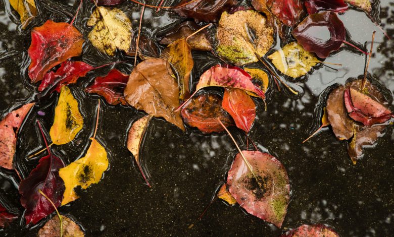 meteo pioggia freddo