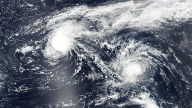 Photo of PAULETTE diventerà URAGANO prima di raggiungere le BERMUDA