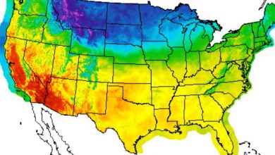 Photo of Dal CALDO INTENSO alla NEVE: ondata di freddo sugli Stati Uniti