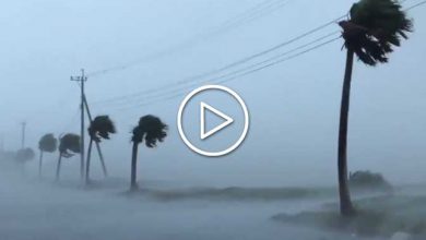Photo of Tifone HAISHEN: violento l’impatto sul Giappone, ora tocca alla Corea del Sud [VIDEO]