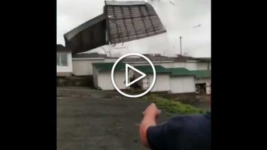 Photo of Il TIFONE MAYSAK ha colpito anche la RUSSIA con venti spaventosi [VIDEO]