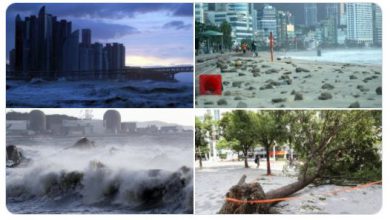 Photo of Corea spazzata dalla furia del tifone Maysak, ora nel mirino Cina e Russia [VIDEO]