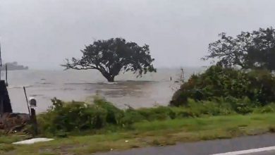Photo of Uragano SALLY, in Florida è caduta la pioggia di 4 mesi in 4 ore [VIDEO]