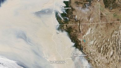Photo of OREGON e CALIFORNIA soffocati dal FUMO degli INCENDI